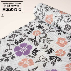 0 H㍞݁yn{dđ㍞݉izl{߂䂩 {̂Ȃ   n  d