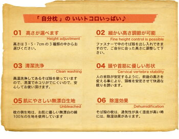 オーガニックコットン防虫そば枕中身出し入れすることにより簡単に高さ調整ができます。枕まくらマクラマクラピローピロー頸椎安定枕首いた解消快眠快眠枕ソバマクラソバ快眠枕高さ調整自在枕オーガニック枕