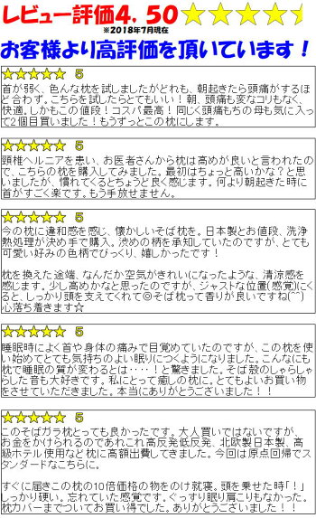 洗浄熱処理そばがら枕35×50cm埃が出にくく虫がわきにくい安心してお使い頂けるそば枕です。関連ワード:枕まくらマクラマクラピローピローそば枕ソバマクラソバガラ熱処理枕そばがら枕ソバガラ枕抗菌枕