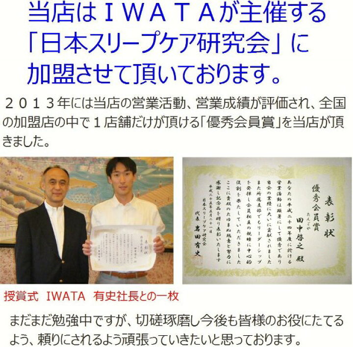 楽天市場】IWATA ヌードピロー 43×63cm 日本製 【関連ワード イワタ 
