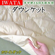 イワタ ダウンケット　ホワイトダックダウンシングルサイズ専用カバープレゼント　　　【関連ワード 羽毛…