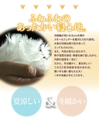シングルサイズ羽根布団送料無料羽根軸が短い6.5cm未満のスモールフェザーを贅沢に100%使用しています。シングル羽根布団羽毛布団掛け布団軽量掛け布団羽毛掛け布団羽根ふとんウモウフトン