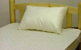 アレルガード　ウォッシャブル防ダニ枕ミディアム　43×63cm高密度織り生地を使用。洗っても防ダニ効果は変わりません！また埃の原因となる繊維くずの発生を抑える特殊な中わたを使用しています！エヴィート　防ダニ 枕4156470000050