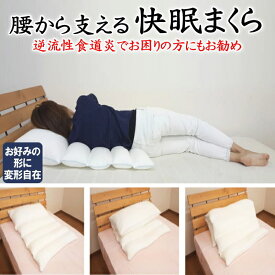 腰から支える 快眠枕　専用カバー付き　　　　【関連ワード マクラ 洗える枕 まくら パイプピロー ウォッシャブル 頸椎安定 高さ調整 ソフトパイプ 解消 硬い 固め 肩こりGerd pillow trans 逆流性食道炎 胃食道逆流症 流動性食道炎 逆流性食道炎】