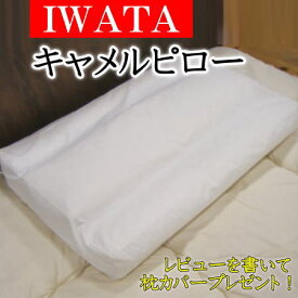 IWATA キャメルピロー43×63cmキャメル毛100%【関連ワード iwata　IWATA イワタ いわた 岩田 磐田 らくだ 駱駝 ラクダ 枕 まくら マクラ ウォッシャブル 洗える 蒸れない 涼しい 不眠 熟睡 快適 羽根 羽毛 低め 頸椎安定 蒸れない】