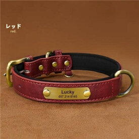 【お名前無料彫刻】犬 首輪 名入れ 【ランキング1位】犬用 オーダーメイド おしゃれ かわいい 小型犬 中型犬 迷子防止 犬の首輪 シンプル 手洗い可能