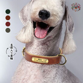 【お名前無料彫刻+犬用リード付き】犬 首輪 名入れ 犬用 オーダーメイド おしゃれ かわいい 小型犬 中型犬 迷子防止 犬の首輪 シンプル 手洗い可能