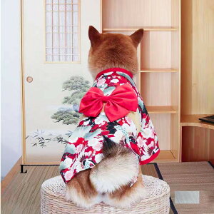 ybg ybg  a hbOEFA Ղ U o    a a a ԉΑ LOBe