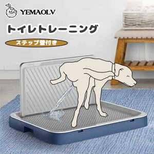 gCg[  pgCCh g[ Ǖt bVvX 􂦂錢pgC q pbh ֊ At ybgg[jO 51*40cm