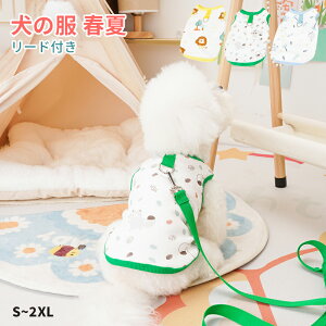  t 킢 TVc  m[X[u ^Ngbv ^ m U dJt [ht