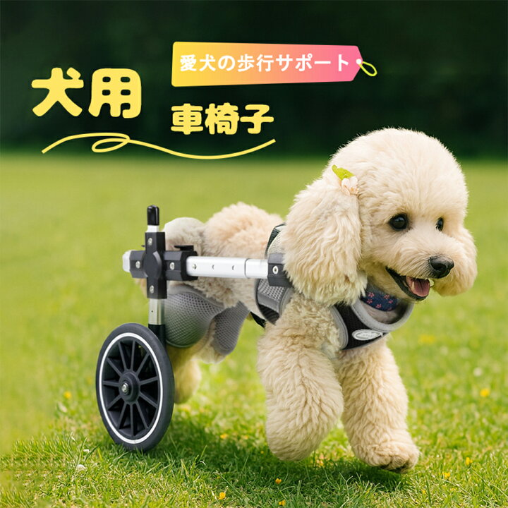 楽天市場】犬用車椅子 四輪【2025年改良版】 軽量 安定設計 歩行補助 