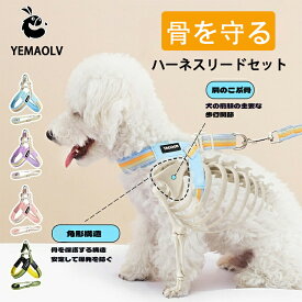 【プロ監修】 犬 ハーネス　リード　夏 メッシュ　骨を保護する　簡単装着　犬用ハーネス　抜けない　脱げない　かわいい　おしゃれ　かっこいい　胴輪　ハーネスリードセット　小型犬 中型犬 大型犬　柴犬　散歩　お出かけ　愛犬　ワンチャン　迷子防止　脱走防止 送料無料