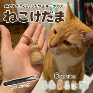 猫遺毛ケース 猫毛玉入れ 猫の毛キーホルダー 透明ボトル カプセル 猫毛 収納 ボックス キーホルダー付き…