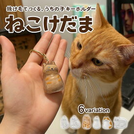 猫遺毛ケース 猫毛玉入れ 猫の毛キーホルダー 透明ボトル カプセル 猫毛 収納 ボックス キーホルダー付き メモリアルグッズ 遺毛 遺毛入れ かわいい　おしゃれ アクセサリ　ペット用品　収納グッズ　送料無料