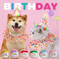 【2点セット】 犬 誕生日 スタイ 帽子 飾り付け お祝い グッズ 猫 誕生日セット 飾り ペット用 バースデ…