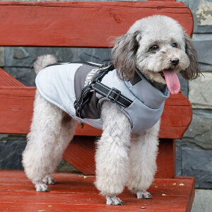 y20`P10{{撅500~OFFN[|IIz̕ H~ wJ   xXg ₷ ȒPE n[lX̌^ H Ȃ h ~ ΍ ~ g ^ ^ ^ y 