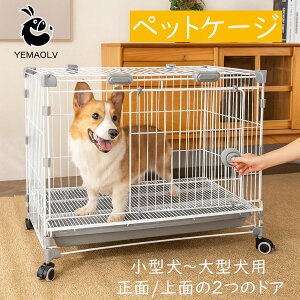 yǔŁz P[W t LX^[t ybg P[W  X`[ ^ ^ ^ ybgP[W hA[t hbOP[W  Ck p   ȒPgݗ E