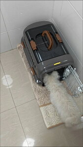 ybgL[  L[ ybg Rei P[X N[g hCu{bNX nEX vX`bN ^ ^   y ی h  ʉ@ s ЊQ ً} o _uhA 