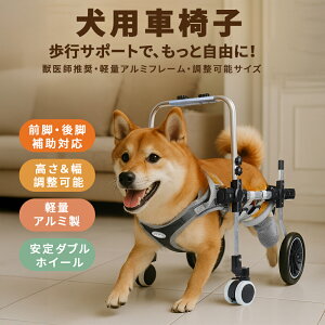 pԈ֎q sT|[g yʃA~ XS`L \ OrErΉ ^ ^ _uzC[ 葖s U⏕