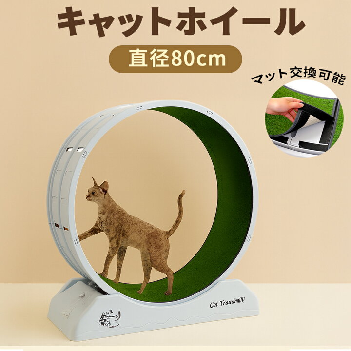 楽天市場】キャットホイール 大型 直径80cm 幅広 静音仕様 猫用 