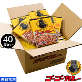 ゴーゴーカレー 中辛 40食 セット まとめ買い 送料無料 カレー レトルト レトルト食品 お取り寄せグルメ お取り寄せ レトルトカレー