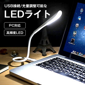 LEDライト LIGHT USB USB給電 LED usbライト AC接続 モバイルバッテリー 照明 卓上 PC パソコン デスク キャンプ アウトドア 小型 軽量 ランプ 電球 スタンドライト デスクライト