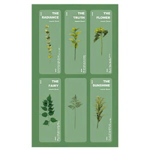 _N[|zz!ǂł2_ȏŁ^NAt[vgubN}[N 6Zbg ɔf {^jJ 