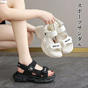 X|[cT_  fB[X  T_ s 6cm RtH[g T_ r[`T_ y fB[X r[`T_ C C xN Xj[J[ X|[c T_ 