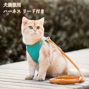 n[lX L  [ht KG ^Kp TCY IWi ˌ Ln[lX LEFA pi Lpi Lbg hbO 3XL 13kgΉ  [h ybgxXg  