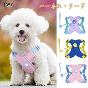 ybg  n[lX [ht  Sy  ^ ^ V [hZbg U o y K ȒP Ȃ ₷ ߕtȂ i߂Ȃ ` v[h Č R