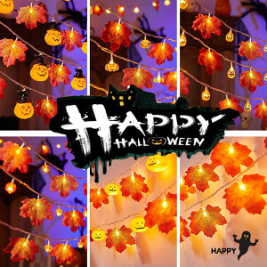 nEB t ݂ gt J{` LEDCg XgOCg ݂ ڂ JGf̗t LEDC~l[V 20 3m dr LEDd d _/_ nEB   