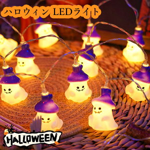 nEB t H LEDCg p[v XgOCg ݂ ~C LEDC~l[V 20 3m dr LEDd d nEB 40 6m   O  fR[V 