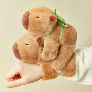 yԌ zIzJso ʂ  ʂ ɕt   av[g CeA X Iׂ3TCY ̃Jso av[g NX