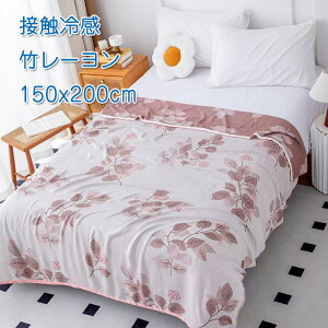 |@ uPbg |[100 ʋC ڐG⊴ Ags[ Ђ QPbgĊ| ^IPbg y Ђ| q R L G | 􂦂  _炩 ʋC