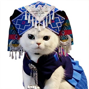 ybg ߑ  nEB  lR  `Ci s   ybg  nEB RXv RX`[ ߑ ybg RXvߑ p[eB[ Xe[W 킢