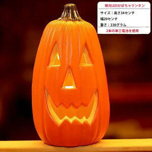 nEB ڂ  Cg nEB  J{`[hCg nEB ڂ ^ X}C halloween pvLCg J{` ZuCg un