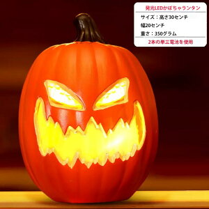 nEB ڂ  Cg nEB  J{`[hCg nEB ڂ ^ X}C halloween pvLCg J{` ZuCg un