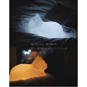 L Cg ԐڏƖ ₷ 2Fؑ PiylR ˂ e[uv Ɩ CeA   Fؑ Cg v rO iCgCg LD Mtg v[gz