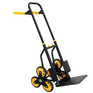 yVX[p[SALEKi 3 A~ L[J[g Ki~pnhgbNƃh[ ܂肽  y L[J[g ȉב܂