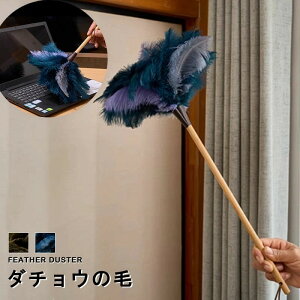 ̓MtgI͂ ق _`E̖ ƒp ԑ| ԗp | | | |̕ ӂӂ  قƂ zR zR uVbv nfBbv Ԃق