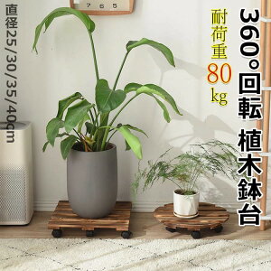 Aؔ ؐu LX^[t 360°] u v[g ω׏d80kg ی`؂̐Aؔg[ v^[X^h ؐ LX^[ ~` ԑ L[u u v^[  