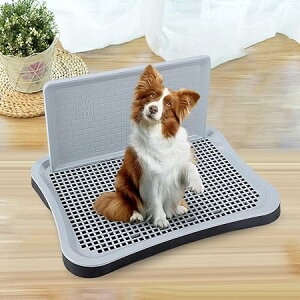  g[ gCe gC ǕtgC gCg[ p g[jO ^ ^ グ pgC gݗĊȒP |y ybggC q gC gC At y