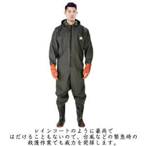 ނ Sgh C h tC t[ht `FXgnCEF_[ fB[X  Y z ʋC hȂ cA JV H _  jp Y Iׂ2^Cv 