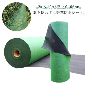 �U�o�[�� �V�[�g�{�� �s��20�{�t�� �O���[�� �h���V�[�g 240 2m×10m 0.66mm �����V�[�g ���̓^�C�v �_�� 2m×10m �G���h�~ ���� �������V�[�g �@�� ���ϋv ���� ���� �� ������ �e�����ܓ� UV�ܓ��� 