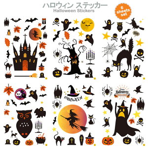  nEB EH[XebJ[ 6V[gZbg  ڂ V[  RE  Ǐ w X DIY fR[VXebJ[ N ؂̂΂ y  