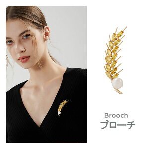 u[`  p[ fB[X WR RT[W S[h  ANZT[ ؂₩ GKg tH[}  Ǝ  w y  v[g Mtg