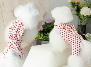  t y{㗤zPEEKAPOODLE ʃhbgp[X/s[X/L~\[ ̕ hbOEFA ybgEFA fUCt s[X Vc o|  Ȍ