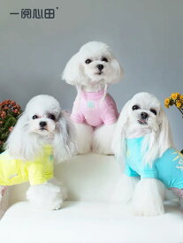 犬服 秋冬 【日本初上陸】 PEEKAPOODLE デザイナーズ犬のお洋服 SUNSHINEプリント印字Tシャツ カットソー インナー お洒落 防寒 猫服 ペット用品 犬の服 ペット服 秋冬 お出掛け お揃い おしゃれな犬のお洋服 小型犬 中型犬