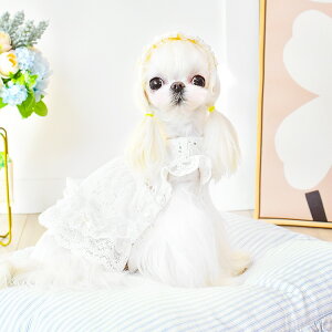  H~ y{㗤z PEEKAPOODLE Plԕ_Es[X Cxgp[eB[劈p  I L ybgpi ̕ ybg H~ o|  Ȍ̂m