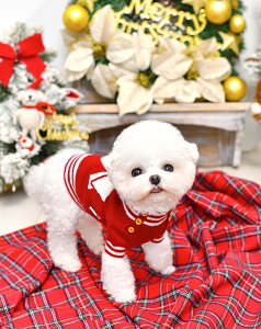  H~ y{㗤z PEEKAPOODLE rbO{jbg Z[^[ {[_[ Cxg劈p [NX}X L ybgpi ̕ ybg H~ o|  Ȍ̂m